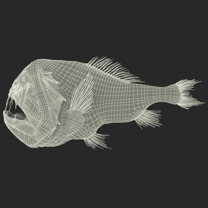 3D Fangtooth Fish 2