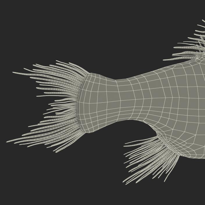 3D Fangtooth Fish 2