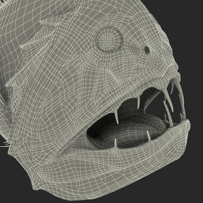 3D Fangtooth Fish 2