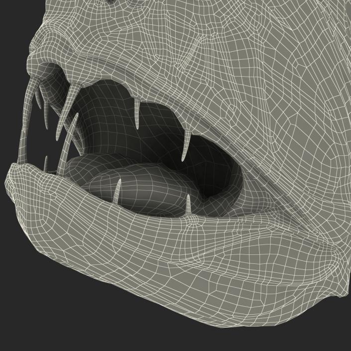 3D Fangtooth Fish 2