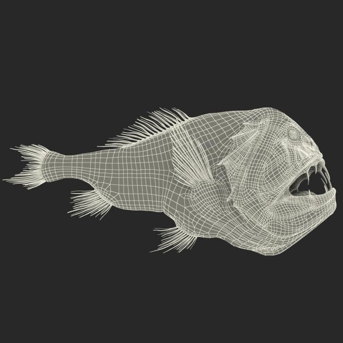 3D Fangtooth Fish 2