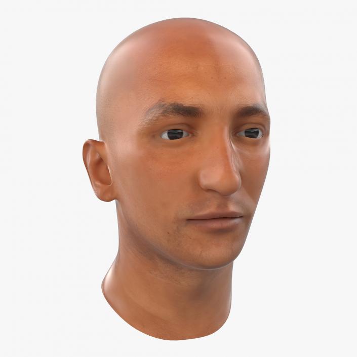 3D Mediterranean Male Head model