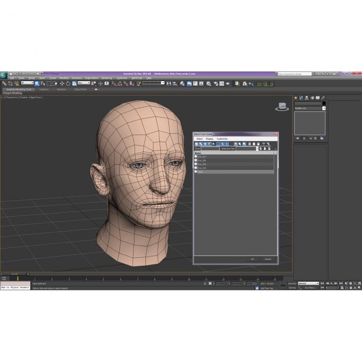 3D Mediterranean Male Head model