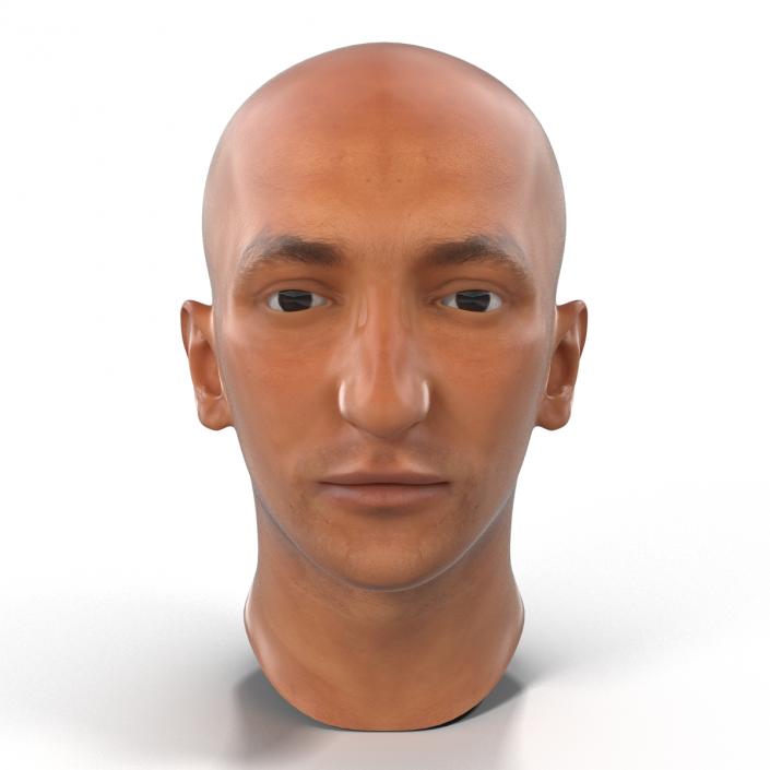 3D Mediterranean Male Head model