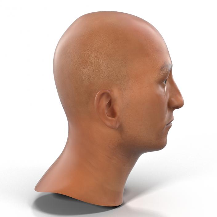 3D Mediterranean Male Head model