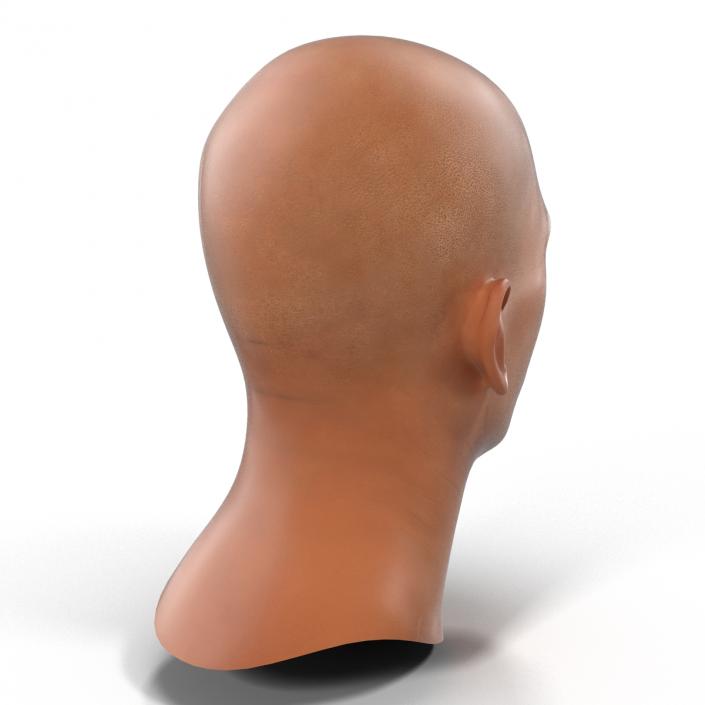 3D Mediterranean Male Head model