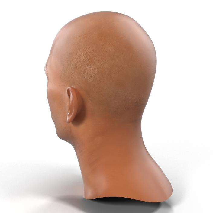 3D Mediterranean Male Head model