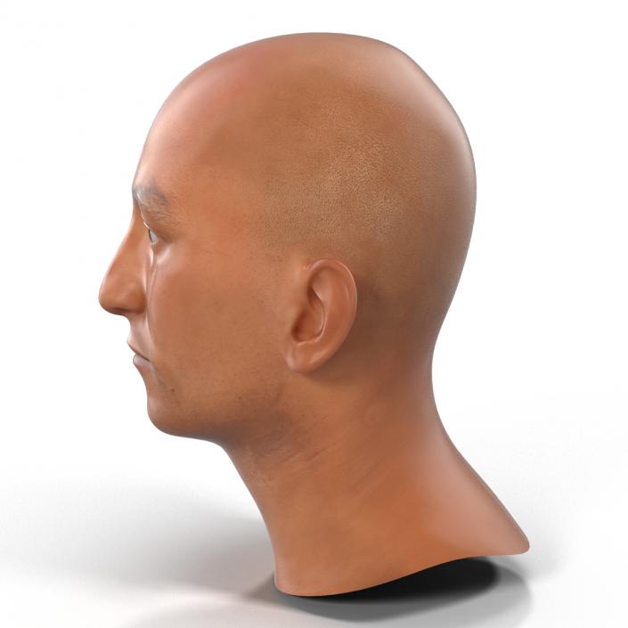 3D Mediterranean Male Head model