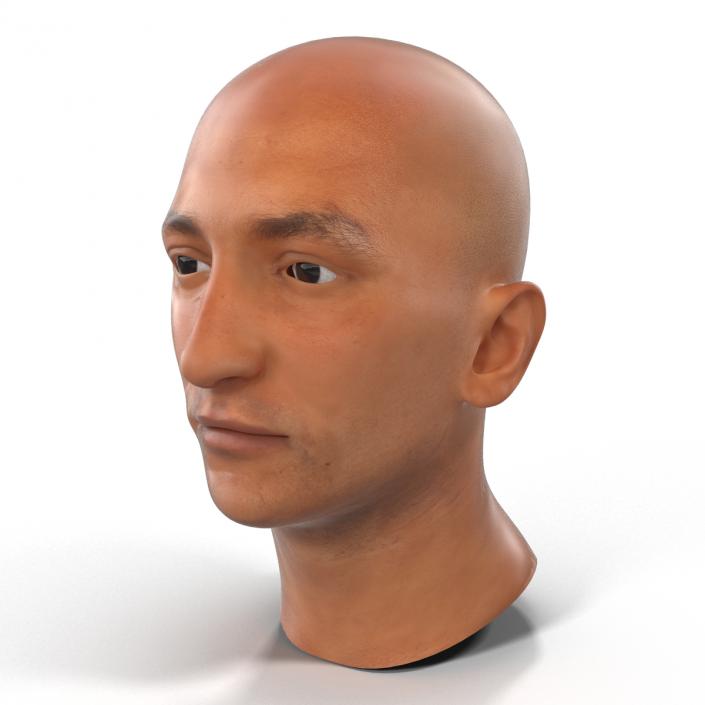 3D Mediterranean Male Head model