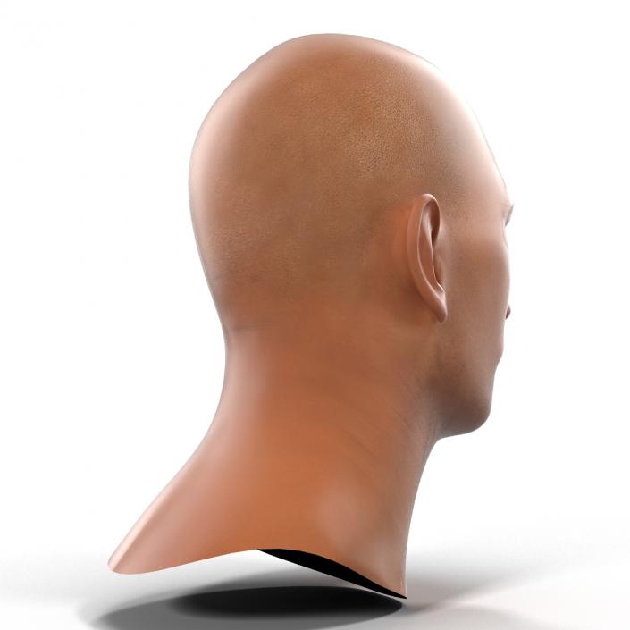 3D Mediterranean Male Head model