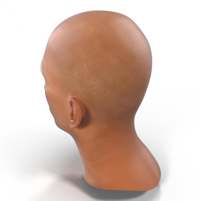 3D Mediterranean Male Head model