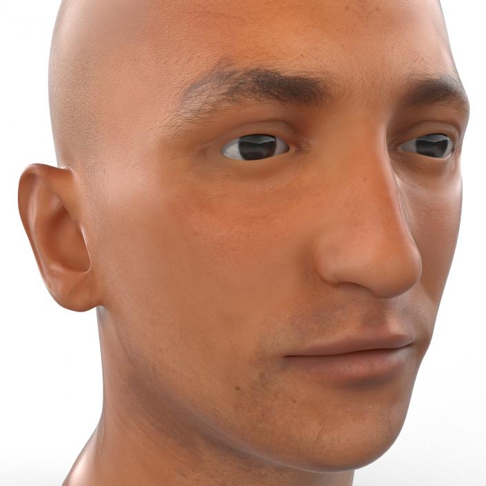 3D Mediterranean Male Head model