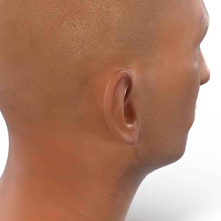 3D Mediterranean Male Head model