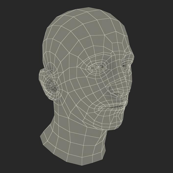 3D Mediterranean Male Head model