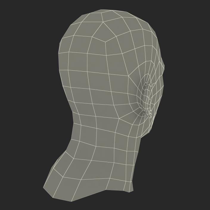 3D Mediterranean Male Head model