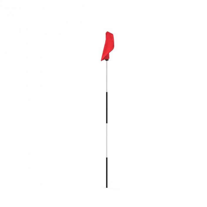 3D Golf Flag 2