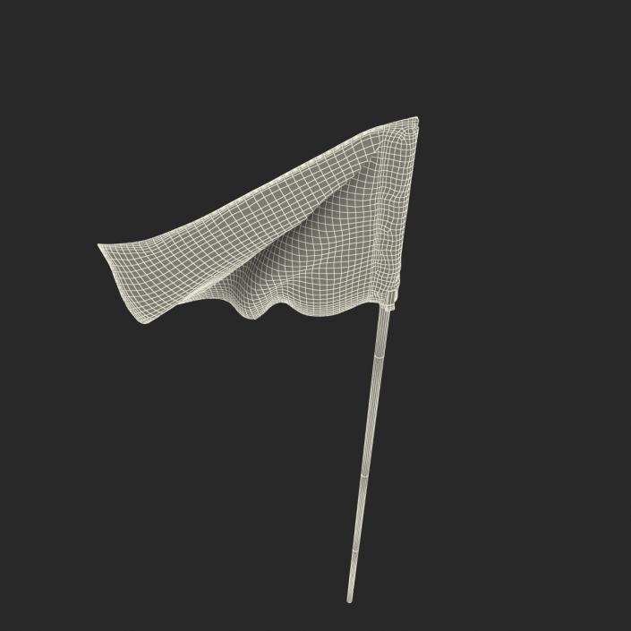 3D Golf Flag 2