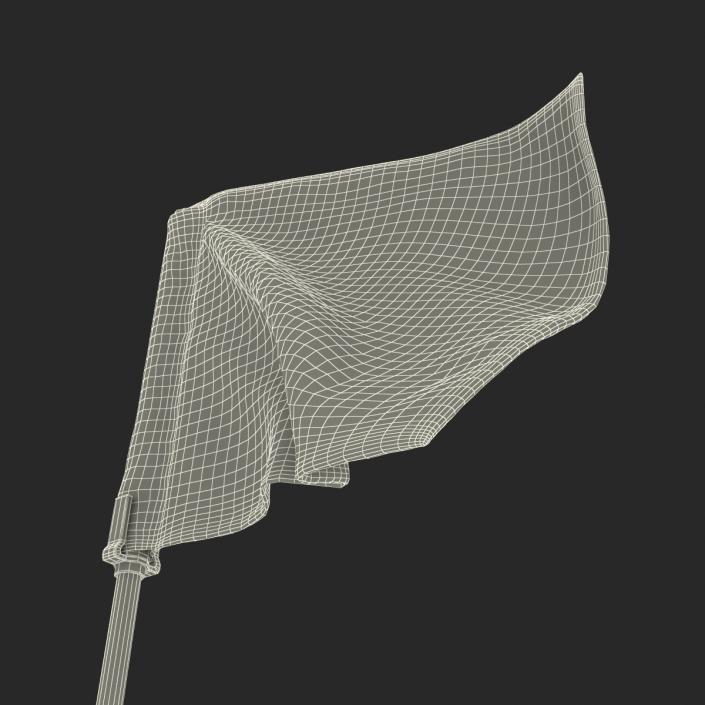 3D Golf Flag 2