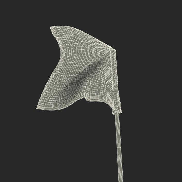 3D Golf Flag 2