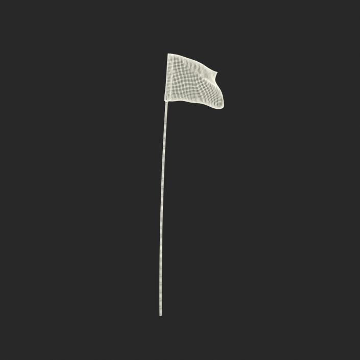 3D Golf Flag 3