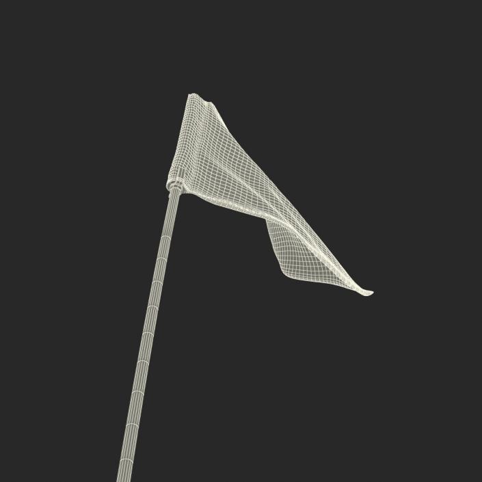 3D Golf Flag 3