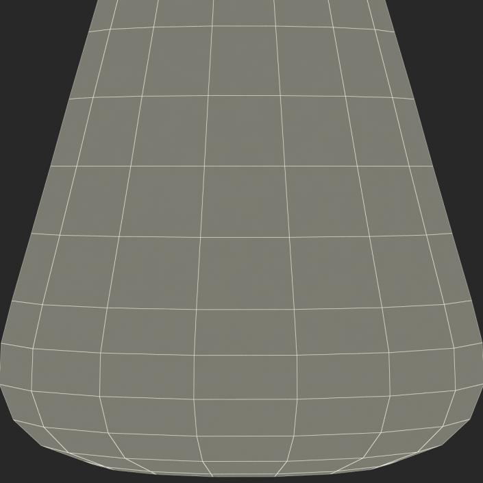 50 ml Erlenmeyer Flask 3D