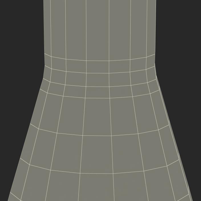 50 ml Erlenmeyer Flask 3D