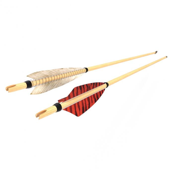 Bow Arrows Set 3D model