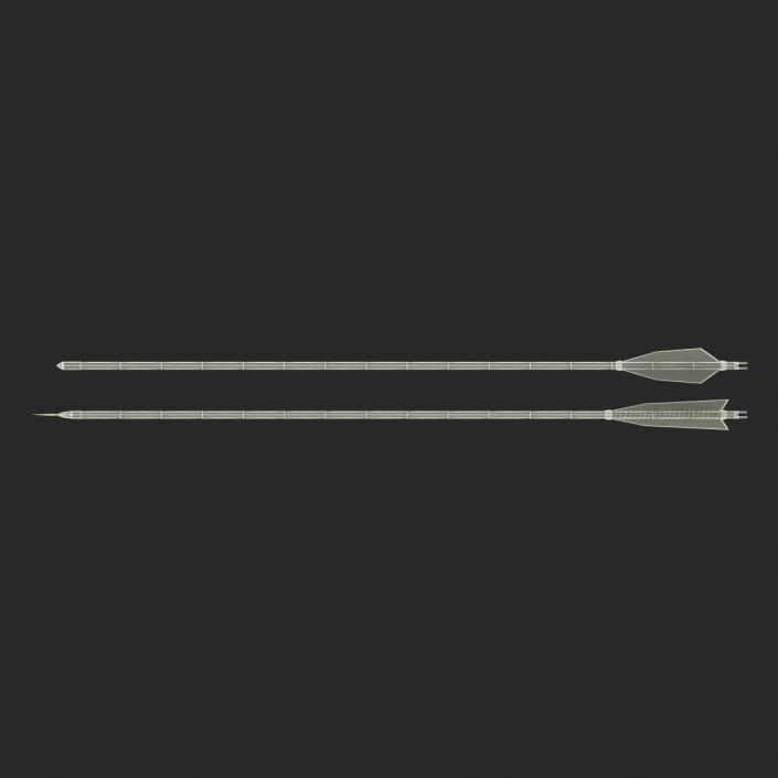 Bow Arrows Set 3D model