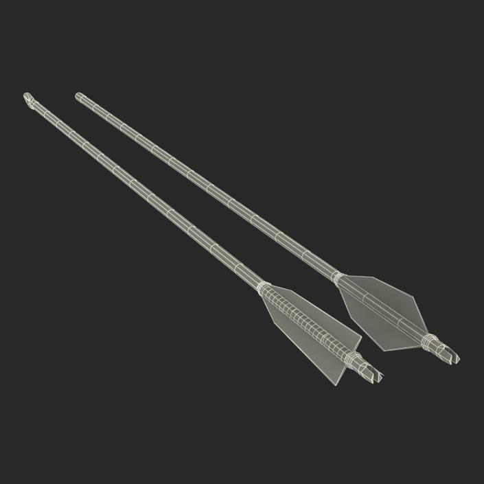 Bow Arrows Set 3D model