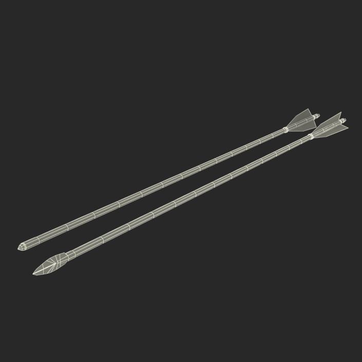 Bow Arrows Set 3D model