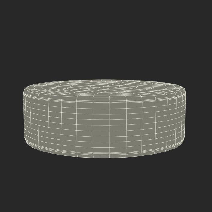 3D Hockey Puck