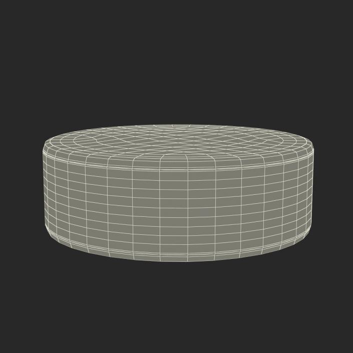 3D Hockey Puck