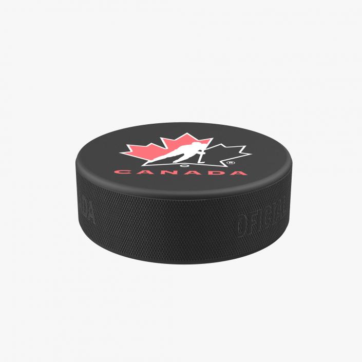 3D Hockey Puck 3 model