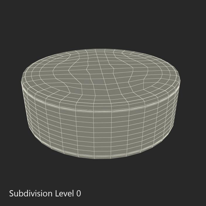 3D Hockey Puck 3 model