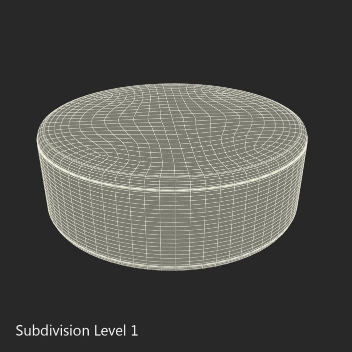 3D Hockey Puck 3 model