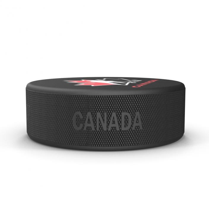 3D Hockey Puck 3 model