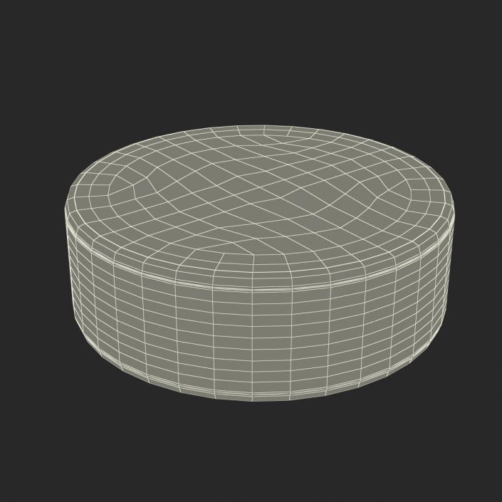 3D Hockey Puck 3 model