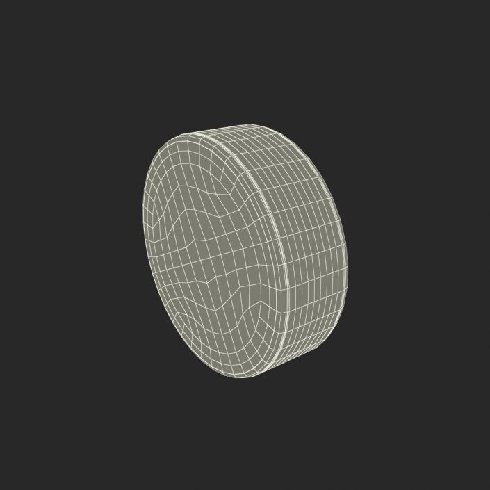 3D Hockey Puck 3 model