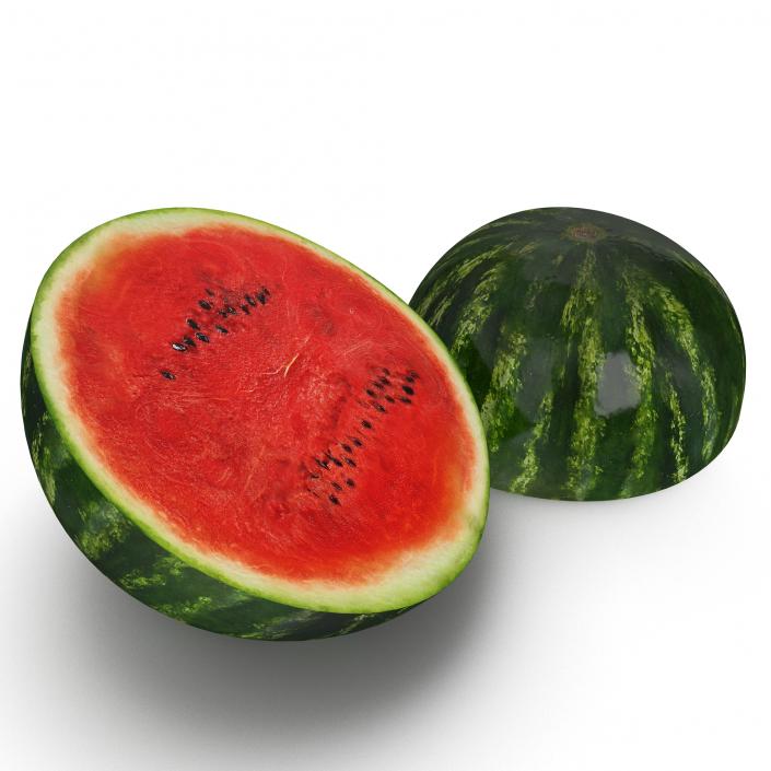 Watermelon Cross Section 3D model