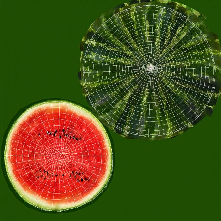 Watermelon Cross Section 3D model