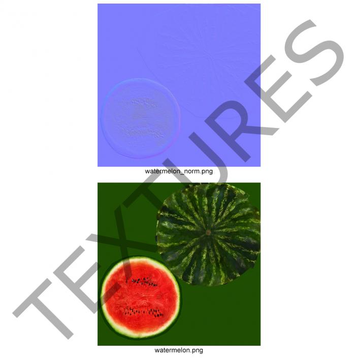 Watermelon Cross Section 3D model