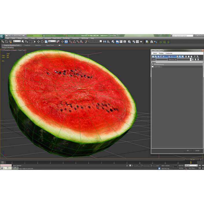 Watermelon Cross Section 3D model