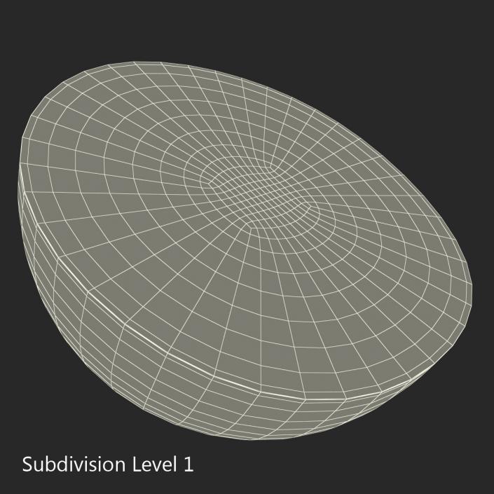 Watermelon Cross Section 3D model