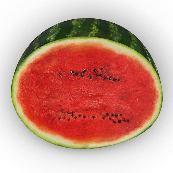 Watermelon Cross Section 3D model