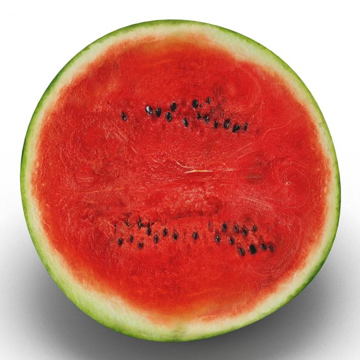 Watermelon Cross Section 3D model