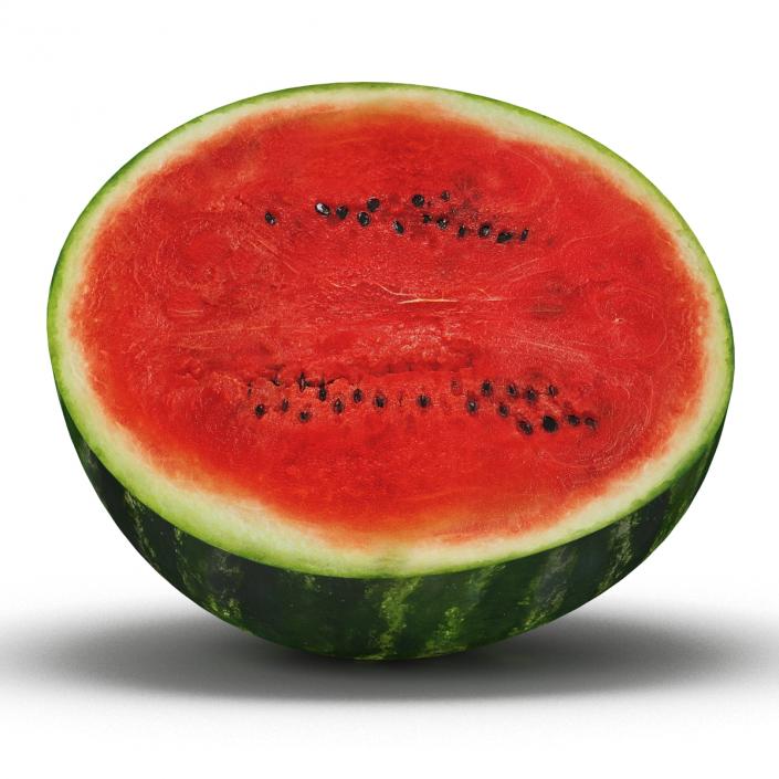 Watermelon Cross Section 3D model