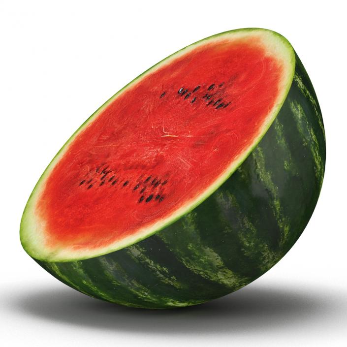 Watermelon Cross Section 3D model