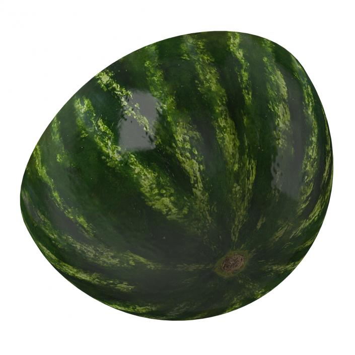 Watermelon Cross Section 3D model