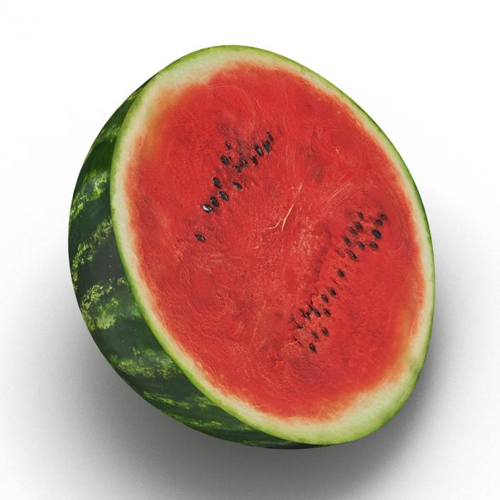 Watermelon Cross Section 3D model